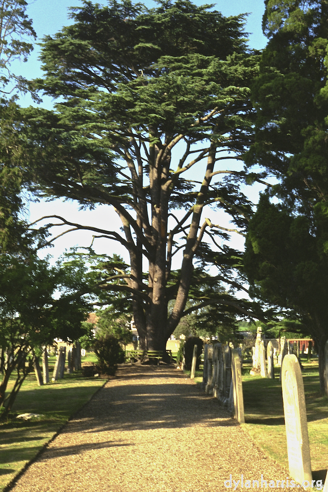 Image: Image 'untitled (ix) 6'.