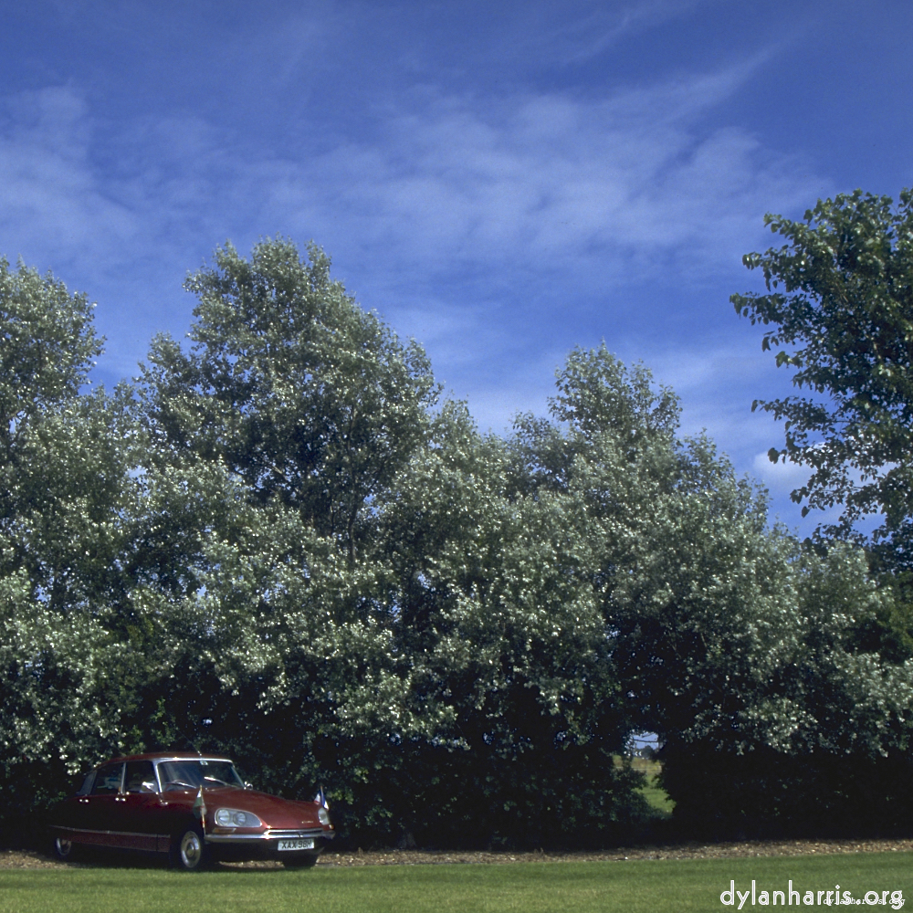 Image 'citro&euml;n (iv) 1'.