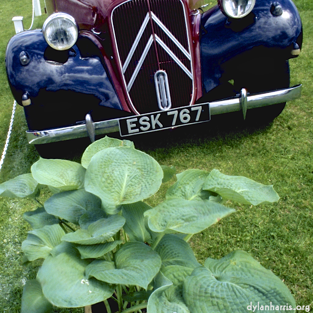 Image: Image 'citro&euml;n (vii) 6'.