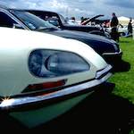 image: br&uuml;nhilde survives