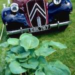 Sixth image from the photoset 'citro&euml;n (vii)'.