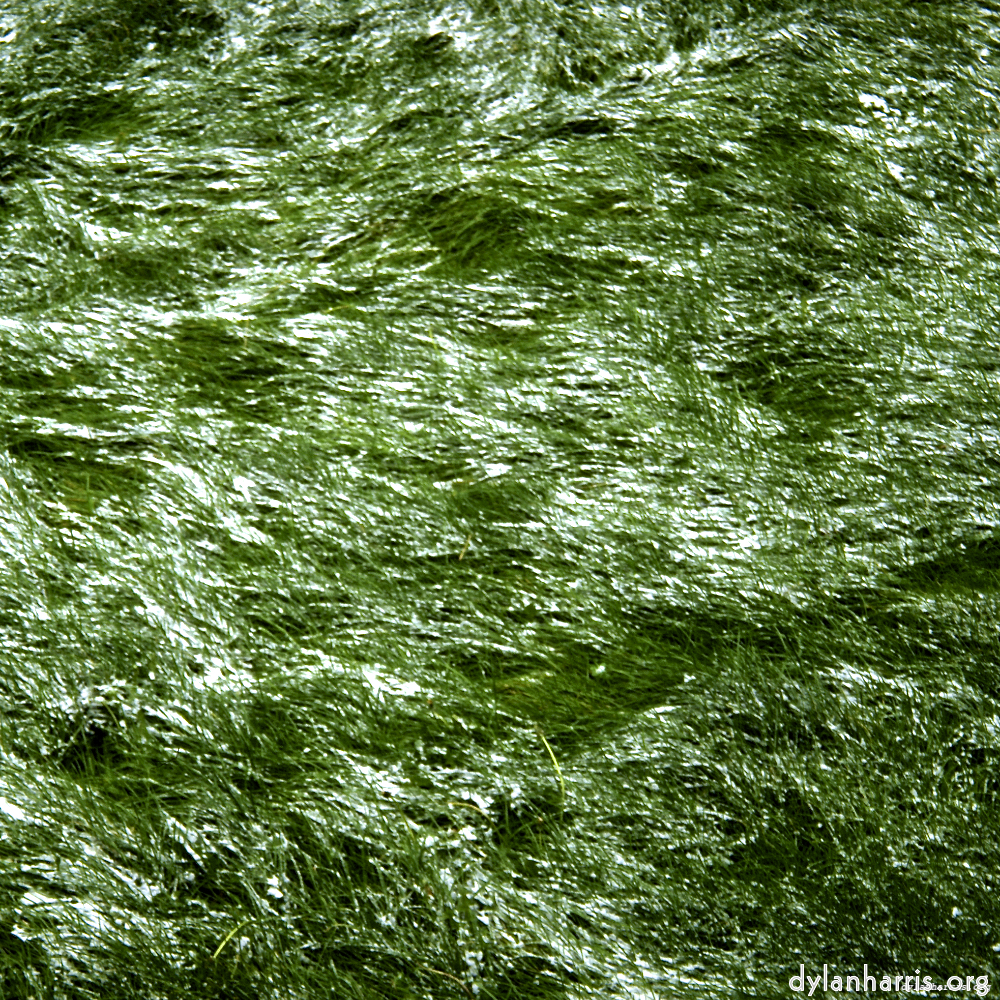 image: This is &lsquo;untitled (xxi) 3&rsquo;.