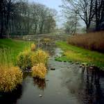 Image: Second image from the photoset 'untitled (xxi)'.