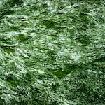 Image: Third image from the photoset 'untitled (xxi)'.