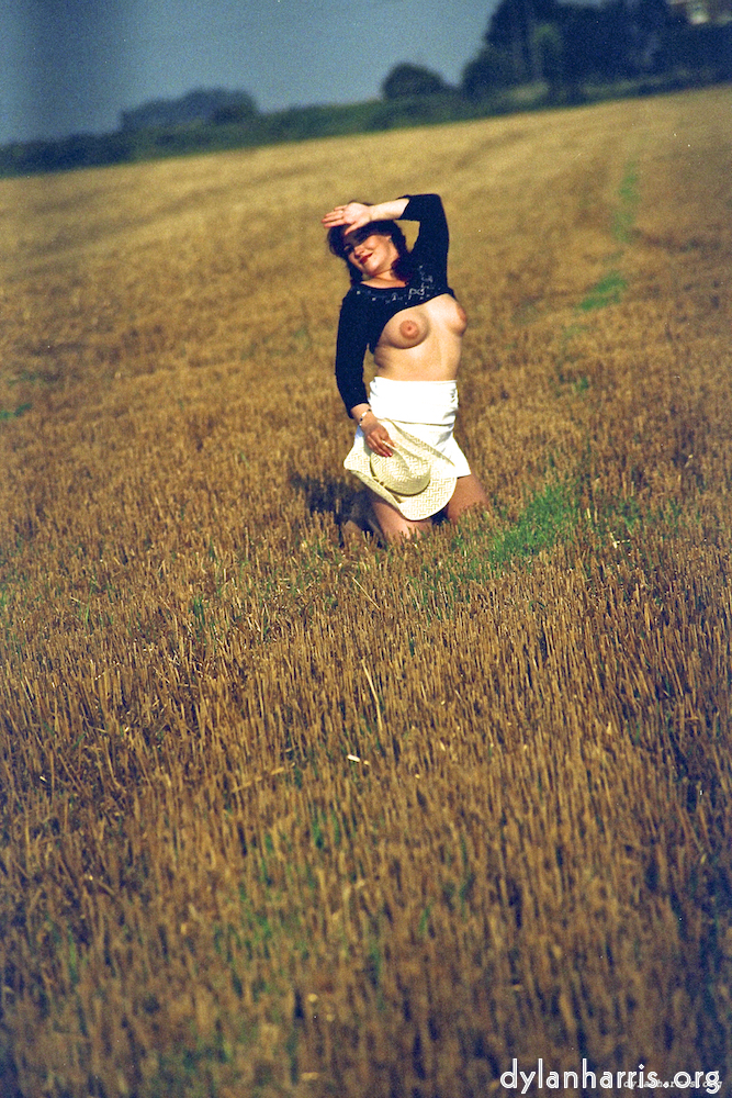 Image 'kerry (xvii) 2'.