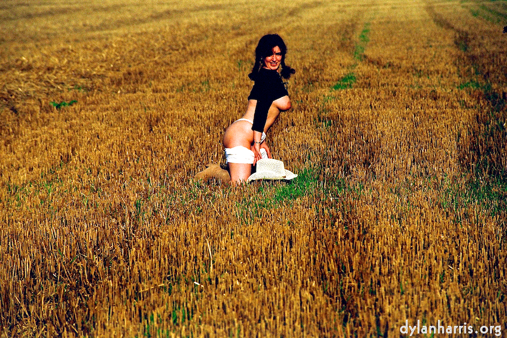 Image 'kerry (xviii) 1'.