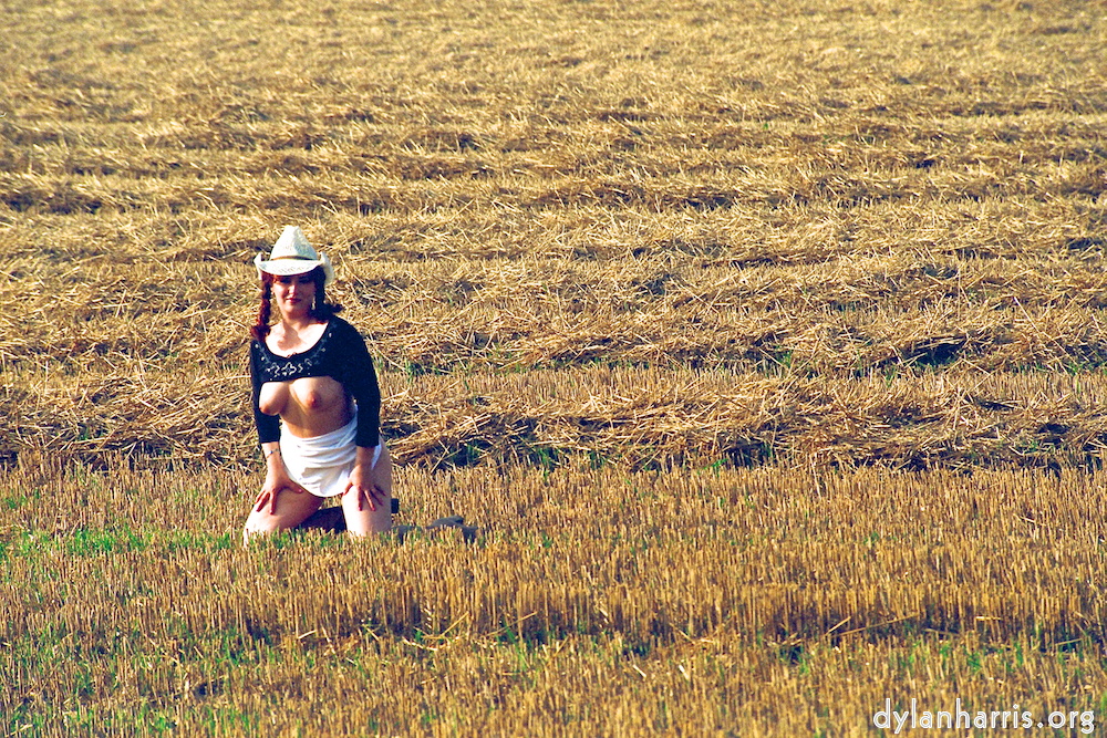 Image 'kerry (xviii) 2'.