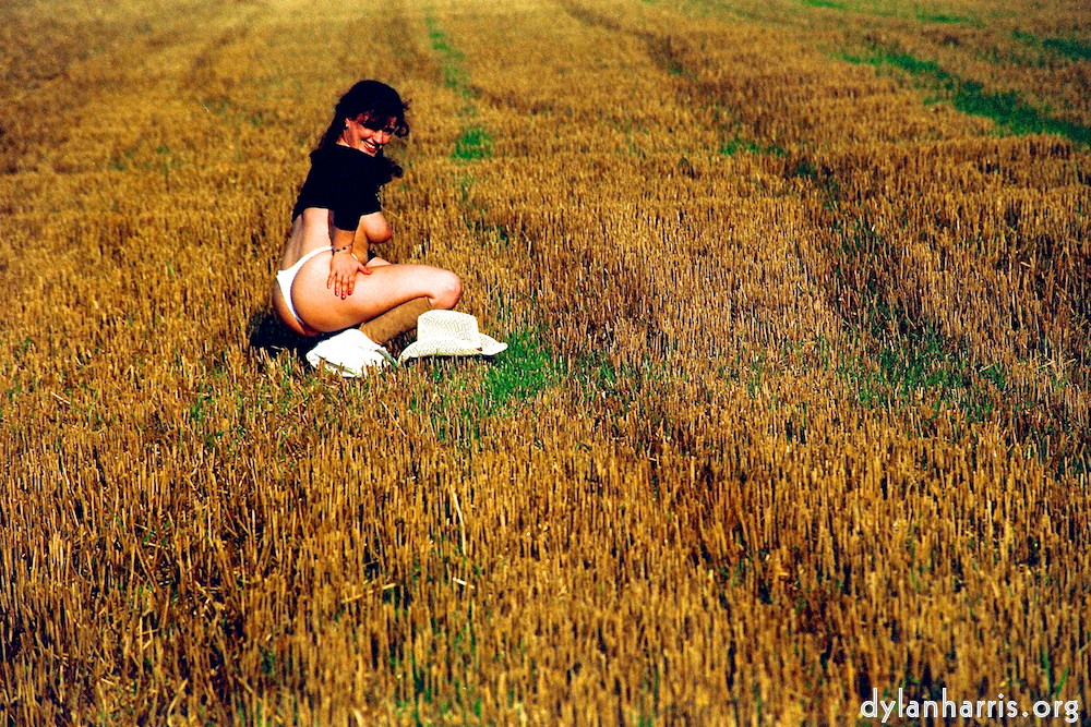 Image 'kerry (xviii) 3'.