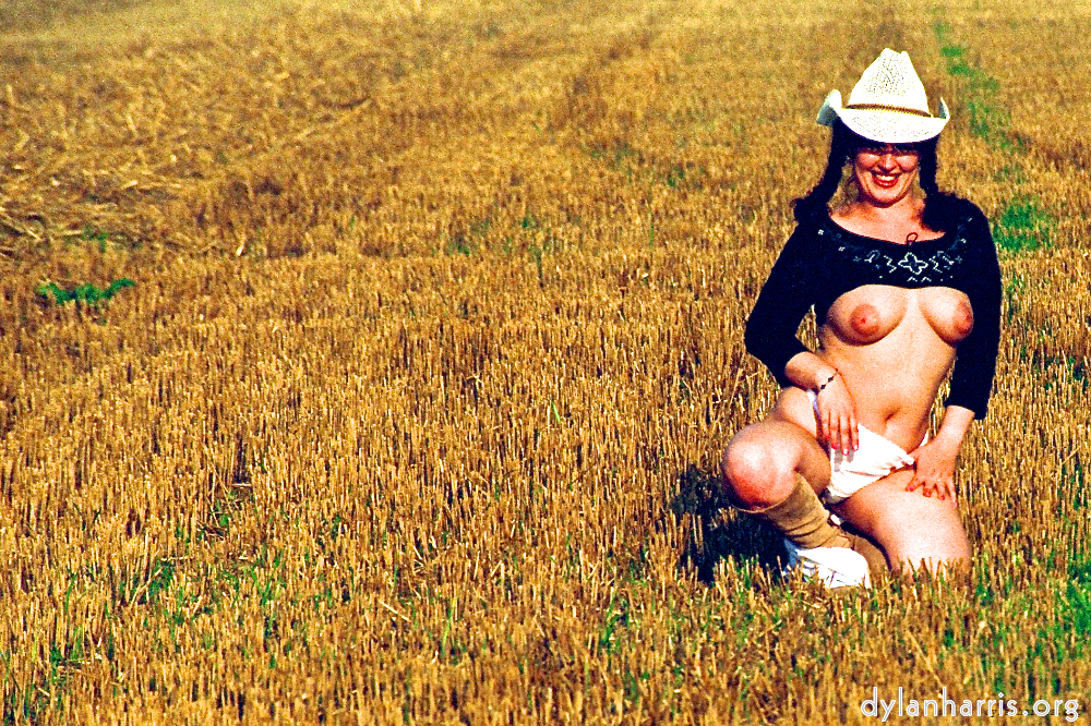 Image 'kerry (xviii) 7'.