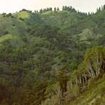 Image: Third image from the photoset 'highway one'.