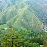 Image: Fifth image from the photoset 'highway one'.