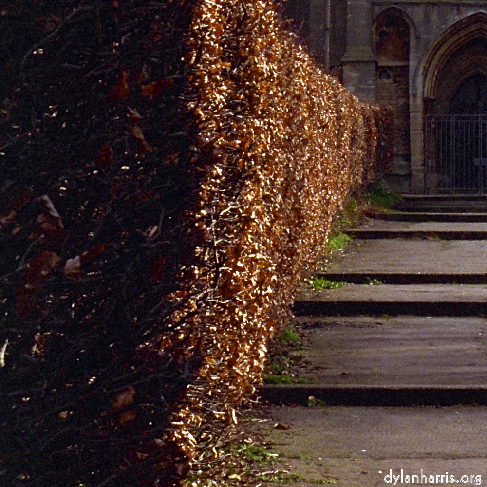 Image: Image 'raunds (i) 1'.