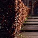 First image from the photoset 'raunds (i)'.