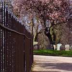 Fifth image from the photoset 'raunds (i)'.