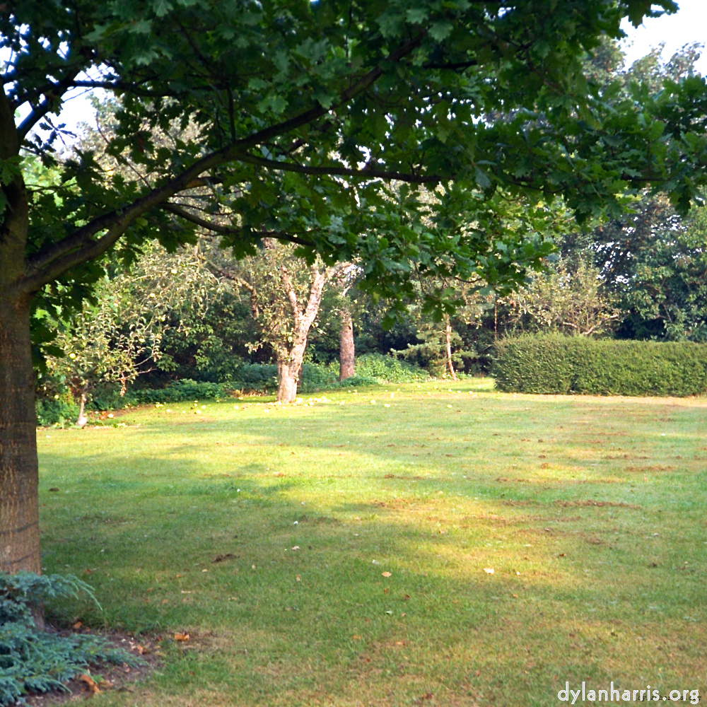 image: This is &lsquo;home (ii) 1&rsquo;.