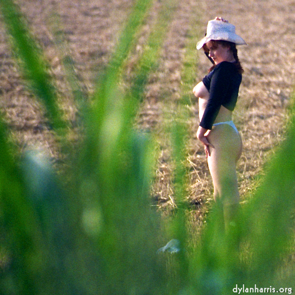 Image: Image 'kerry (xxvii) 2'.