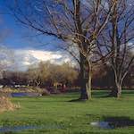 Image: Fourth image from the photoset 'untitled (xxii) '.