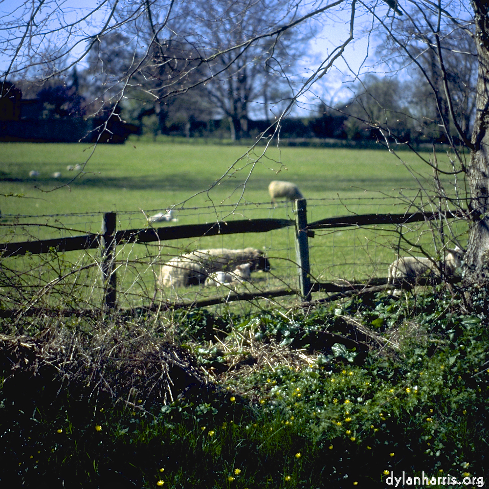 Image 'barnwell (ii) 1'.