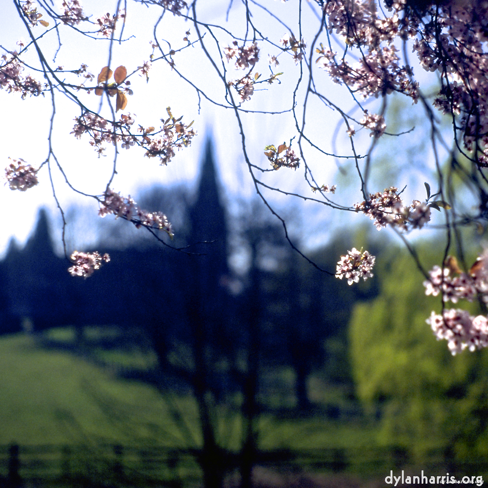 Image 'barnwell (ii) 2'.