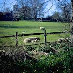 First image from the photoset 'barnwell (ii)'.