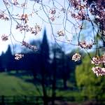 Second image from the photoset 'barnwell (ii)'.