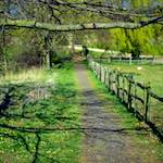 Third image from the photoset 'barnwell (ii)'.