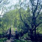 Sixth image from the photoset 'barnwell (ii)'.