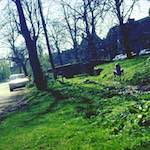 Ninth image from the photoset 'barnwell (ii)'.