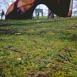 Tenth image from the photoset 'yorkshire (v)'.