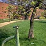 Second image from the photoset 'yorkshire (v)'.