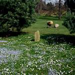 Fifth image from the photoset 'yorkshire (v)'.