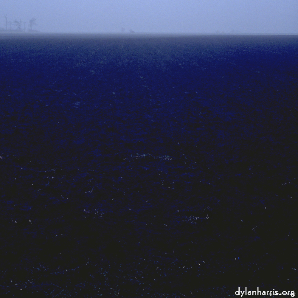 Image: Image 'fen (i) 6'.