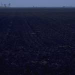 First image from the photoset 'fen (i) '.