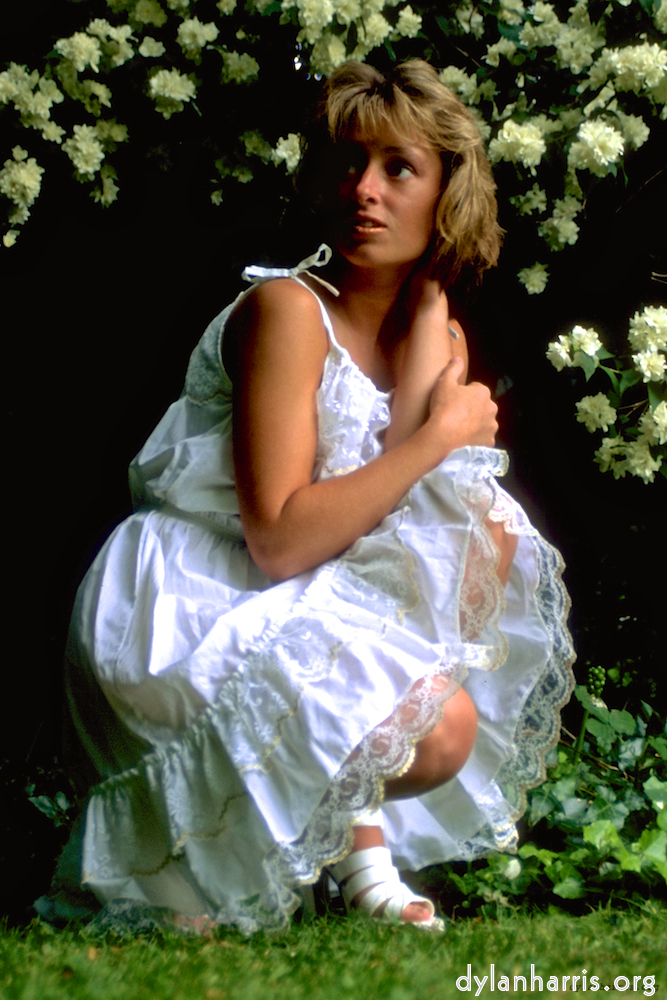 Image 'lisa (iii) 1'.