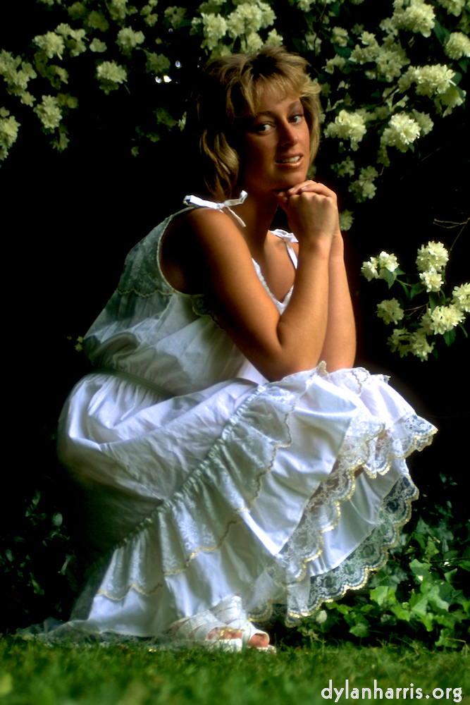 Image 'lisa (iii) 2'.