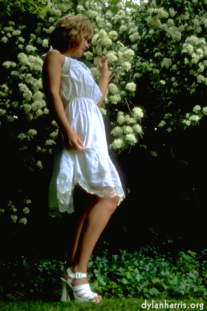 image: This is &lsquo;lisa (iii) 3&rsquo;.