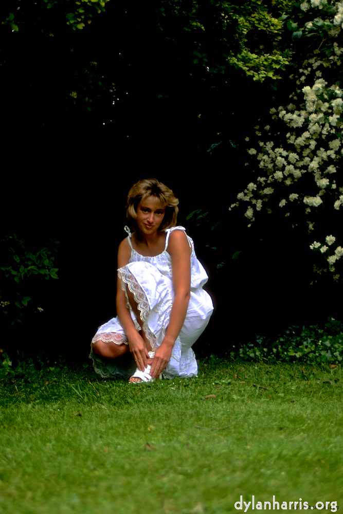 Image 'lisa (iii) 5'.