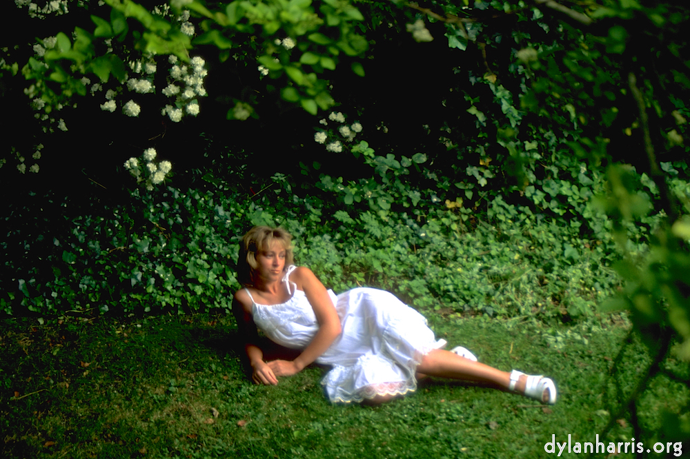 Image 'lisa (iv) 2'.