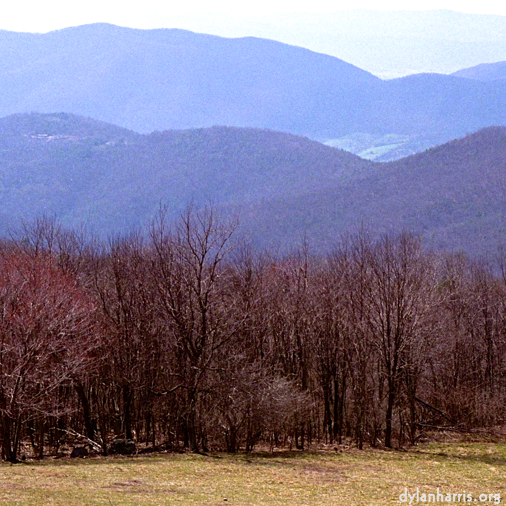 image: This is &lsquo;wood (viii) 3&rsquo;.