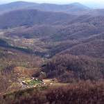 image: Image from the photoset &lsquo;wood (viii)&rsquo;.