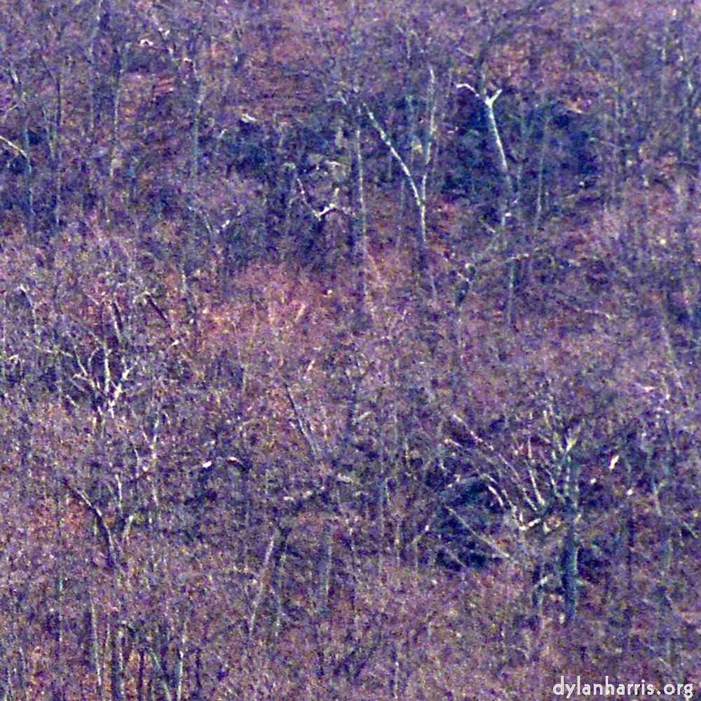 Image: Image 'wood (ix) 2'.