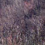 image: motorway blow&ndash;out