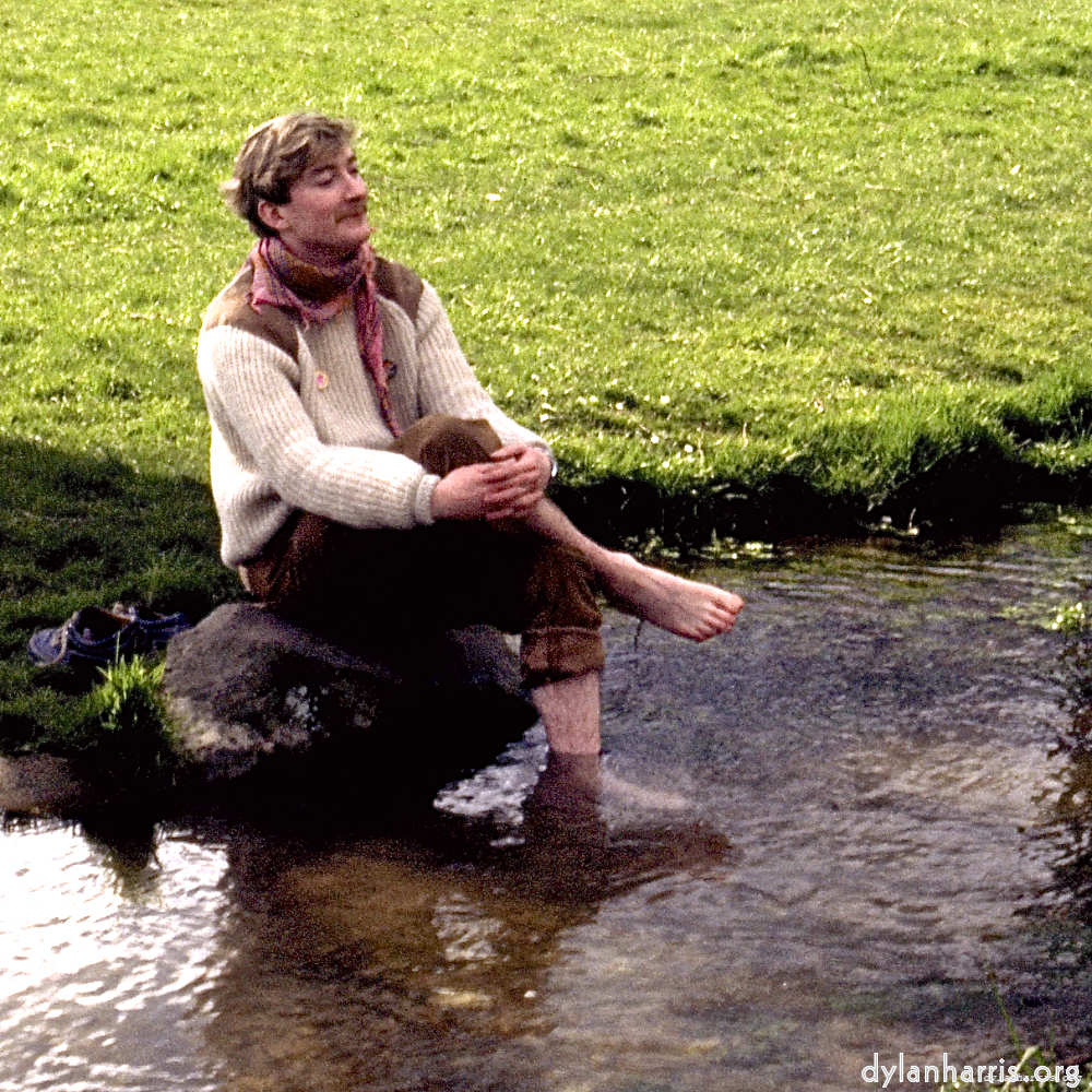 Image 'YLs (vii) 2'.