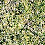 Image: Second image from the photoset 'untitled (xi) '.