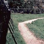 First image from the photoset 'yorkshire (iv)'.