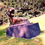 Fifth image from the photoset 'yorkshire (iv)'.