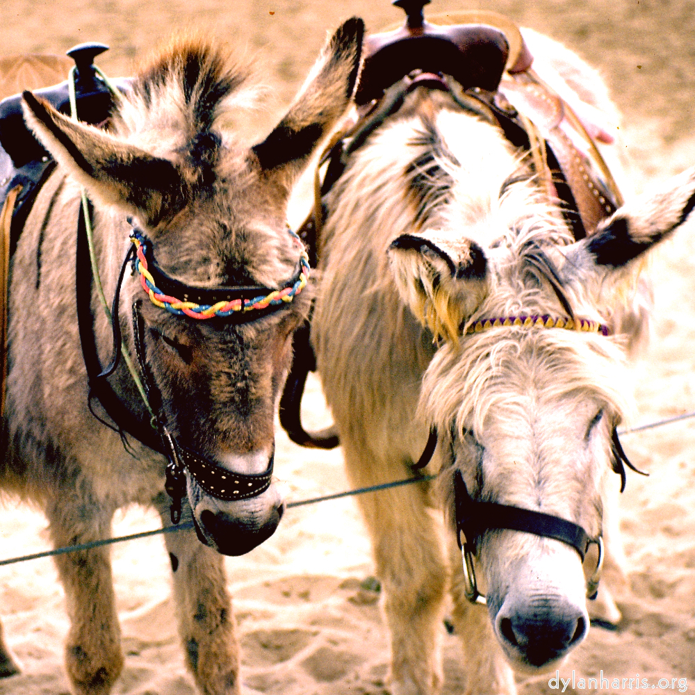 Image: Image 'untitled (xiv) 2'.