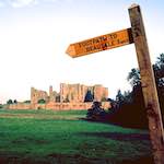 image: Image from the photoset &lsquo;untitled (xiv)&rsquo;.