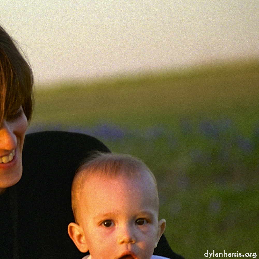 Image 'family (iv) 1'.