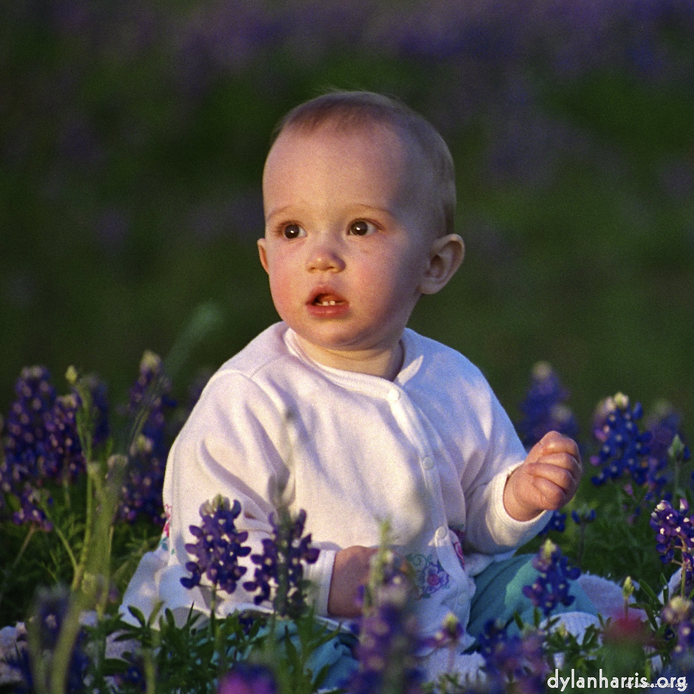 family image: an image